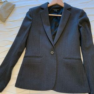 Theory Suit